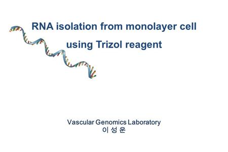 RNA isolation from monolayer cell Vascular Genomics Laboratory