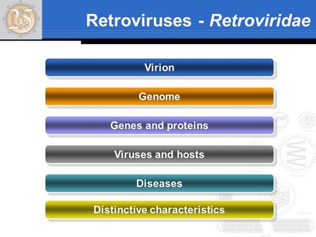 Retroviruses - Retroviridae