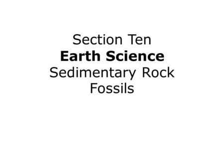 Section Ten Earth Science Sedimentary Rock Fossils.
