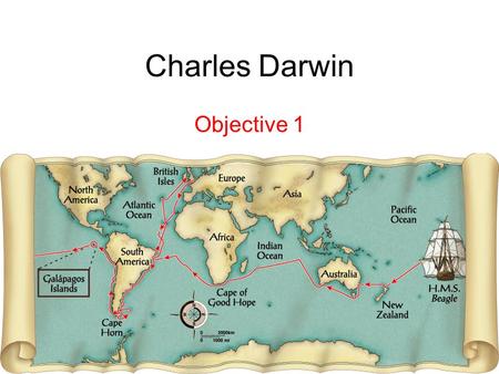 Charles Darwin Objective 1. Darwin Born in England in the 1800’s –Rich family Went to college –Studied the bible Sailed around the world studying life.