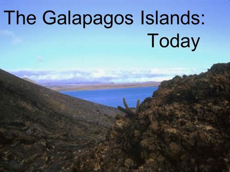 The Galapagos Islands: Today. Vulcan, Ecuador.