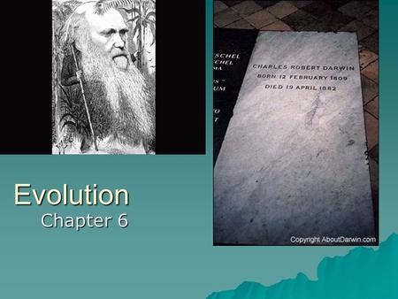 Evolution Chapter 6. Pre-Darwinian Theories