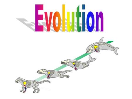 What is Evolution? A change in an organism over time Process in which modern organisms have descended from ancient organisms Populations evolve, NOT individuals.