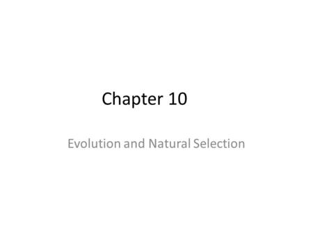 Chapter 10 Evolution and Natural Selection How could evolution lead to this?