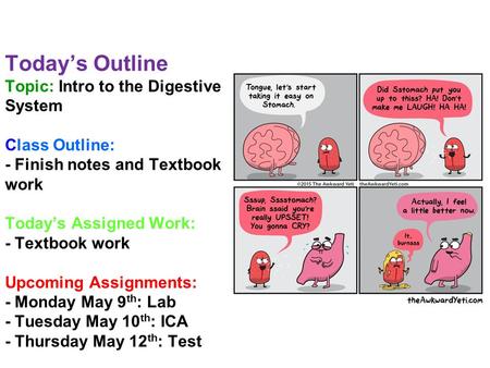 Today’s Outline Topic: Intro to the Digestive System Class Outline: - Finish notes and Textbook work Today’s Assigned Work: - Textbook work Upcoming Assignments: