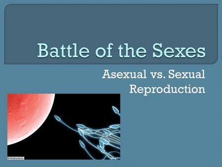 Asexual vs. Sexual Reproduction.  Parent cell first copies its DNA  Then divides into 2 separate cells  New cells have a complete copy of parent’s.