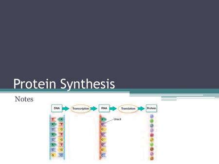 Protein Synthesis Notes. Main Idea DNA codes for RNA, which guides protein synthesis. Protein Synthesis is the making of proteins.