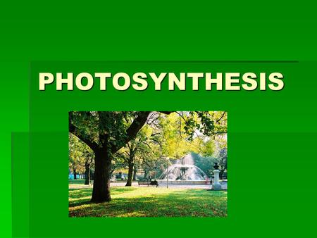 PHOTOSYNTHESIS. INTRO  All living things need energy.  Our energy comes from FOOD!