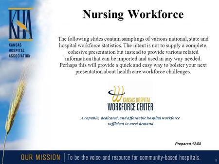 1 Nursing Workforce The following slides contain samplings of various national, state and hospital workforce statistics. The intent is not to supply a.