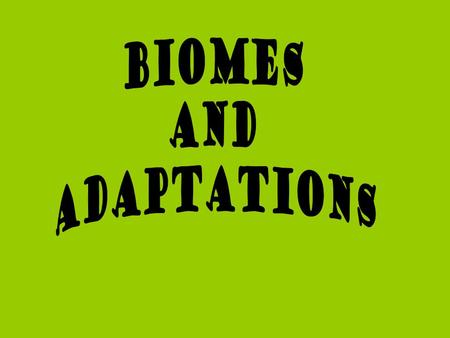 Adaptation An adaptation is a characteristic or trait that helps an organism survive in its environment Adaptation makes an organisms more suited to its.