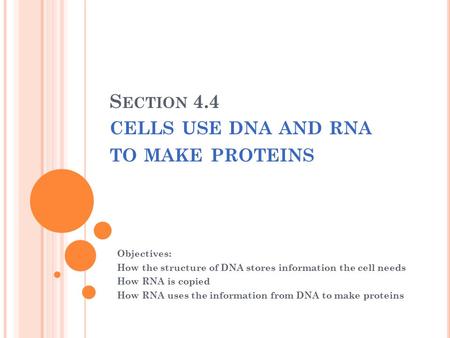 S ECTION 4.4 CELLS USE DNA AND RNA TO MAKE PROTEINS Objectives: How the structure of DNA stores information the cell needs How RNA is copied How RNA uses.