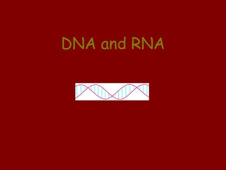 DNA and RNA. DNA Deoxyribonucleic Acid Genetic code of life Located inside the nucleus NEVER leaves the nucleus Double Stranded Shape of DNA is a double.