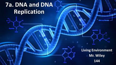7a. DNA and DNA Replication Living Environment Mr. Wiley 144.
