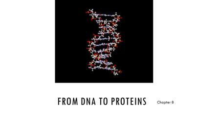 FROM DNA TO PROTEINS Chapter 8. KEY CONCEPT 8.1 DNA was identified as the genetic material through a series of experiments.