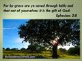 For by grace are ye saved through faith; and that not of yourselves: it is the gift of God: Ephesians 2:8 thailandmissionfield.com.