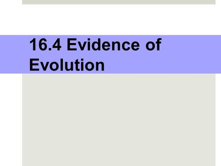16.4 – Evidence of Evolution 16.4 Evidence of Evolution.
