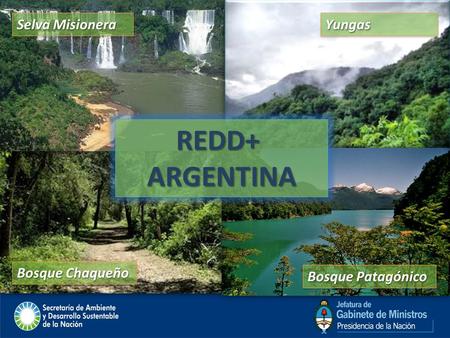 Bosque Patagónico Bosque Chaqueño YungasYungas REDD+ REDD+ ARGENTINA ARGENTINA REDD+ REDD+ ARGENTINA ARGENTINA Selva Misionera Bosque Patagónico.