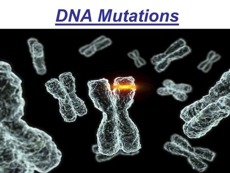 DNA Mutations. Remember that during DNA replication, the DNA makes an exact copy of itself before it divides. DNA replication is not always accurate.