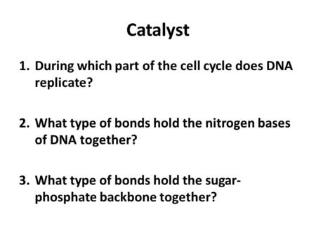 Catalyst 1.During which part of the cell cycle does DNA replicate? 2.What type of bonds hold the nitrogen bases of DNA together? 3.What type of bonds hold.