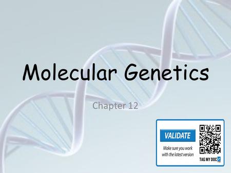 Molecular Genetics Chapter 12 DNA 3 4 DNA DNA. DNA is often called the blueprint of life. In simple terms, DNA contains the instructions for making.