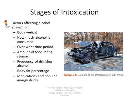 Stages of Intoxication Factors affecting alcohol absorption – Body weight – How much alcohol is consumed – Over what time period – Amount of food in the.
