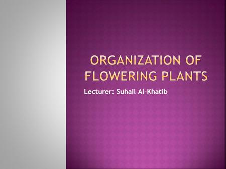 Lecturer: Suhail Al-Khatib.  Flowering plants, or angiosperms, are extremely diverse but share many common structural features.  Most flowering plants.