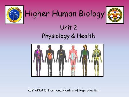 Higher Human Biology Unit 2 Physiology & Health KEY AREA 2: Hormonal Control of Reproduction.