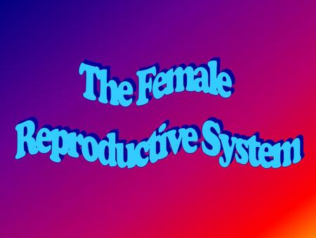 DHQ – Lesson 1 If you had to take a quiz on the female reproductive system, what would you struggle with?