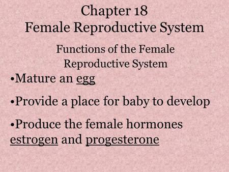 Chapter 18 Female Reproductive System