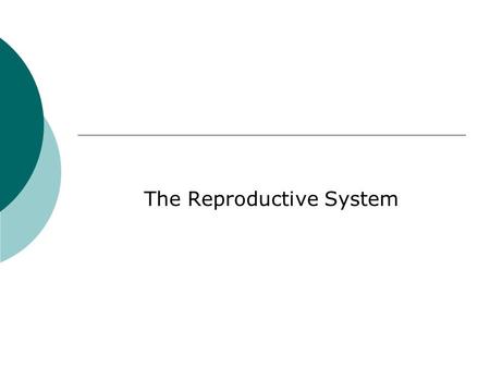 The Reproductive System. Review of Endocrine System.