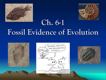 Ch. 6-1 Fossil Evidence of Evolution
