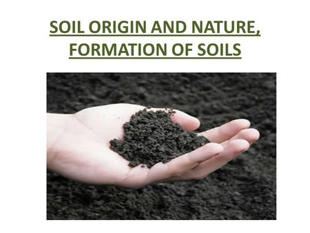 SOIL ORIGIN AND NATURE, FORMATION OF SOILS. Soil develops from parent material by the processes of soil formation The process of formation soil from the.