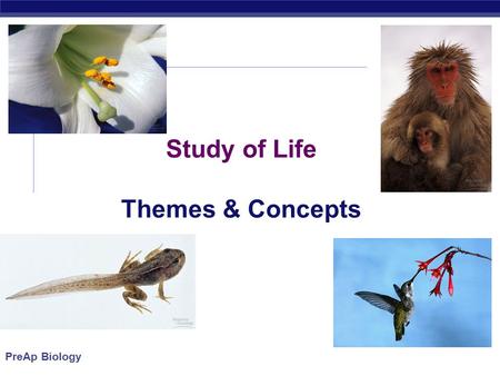 PreAp Biology Study of Life Themes & Concepts. PreAp Biology Age of Earth  About 4.5 bya  Life about 4 bya (Prokaryotes)  Photosynthesis about 2.7.