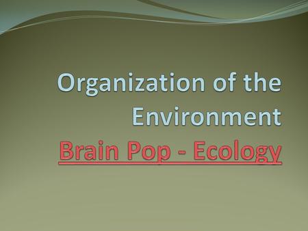 Ecology The study of the interactions between organisms and the living and nonliving components of their environment. An Ecologist is a scientist who.