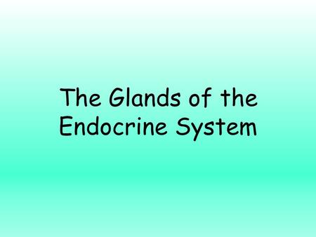 The Glands of the Endocrine System. Endocrine Glands Hypothalamus Pituitary –Anterior –Posterior Thyroid Gland Parathyroid glands Adrenal Glands –Cortex.