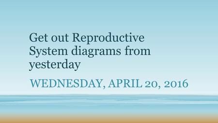 Get out Reproductive System diagrams from yesterday WEDNESDAY, APRIL 20, 2016.