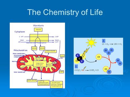 The Chemistry of Life.  In your notebooks: Today’s date Title: Unit: The Chemistry of Life With a partner, think about this question: Why is chemistry.