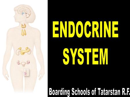 6/14/2016Mehmet KÖYLÜ2 ENDOCRINE SYSTEM Endocrine system helps to regulation and coordination of body activities. The endocrine system and nervous system.