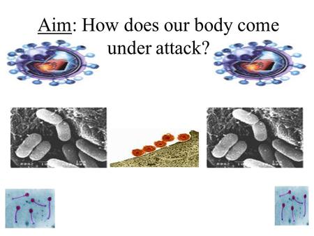 Aim: How does our body come under attack? What is wrong? Disease is any condition that prevents the body from working as it should. As a result the body.
