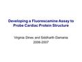 Developing a Fluorescamine Assay to Probe Cardiac Protein Structure Virginia Dines and Siddharth Damania 2006-2007.