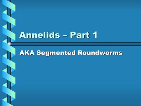 Annelids – Part 1 AKA Segmented Roundworms. Annelids The word annelid is derived from the word annulus which means ring.The word annelid is derived from.
