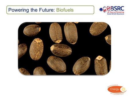 Powering the Future: Biofuels. Learning Outcomes You will be able to: Explore the different issues around Jatropha curcas Discuss the views of the different.