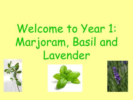 Welcome to Year 1: Marjoram, Basil and Lavender. Adults in our classrooms. Year 1 team will be Mrs Tallamy, Mrs Gartland, Mrs Battison, Mrs Stanton, Mrs.