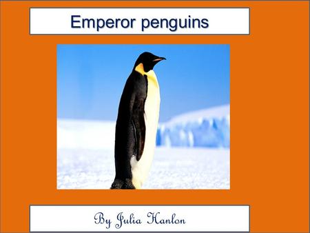 Emperor penguins By Julia Hanlon. Animal Facts Description Am Emperor penguin Colors are yellow, orange, black, white, gray and a very dark blue. And.