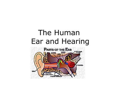 The Human Ear and Hearing