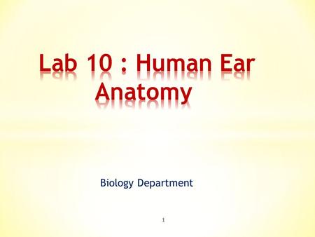Biology Department 1. 2  The ear is the organ of hearing and, in mammals, balance.  In mammals, the ear is usually described as having three parts: