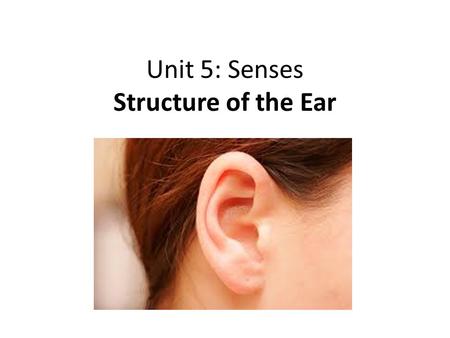 Unit 5: Senses Structure of the Ear. Major functions of the ear 1.Hearing 2. Balance/Equilibrium *Sound waves and fluid movement act on receptors called.