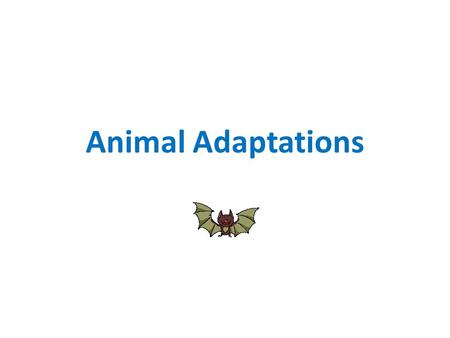 Animal Adaptations. WHAT ARE ADAPTATIONS? An adaptation is What are some adaptations you can think of? a body part (physical characteristic) or behavior.