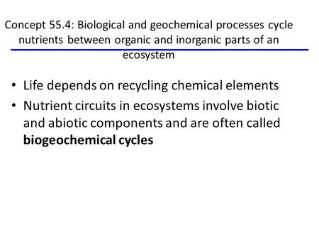 Life depends on recycling chemical elements