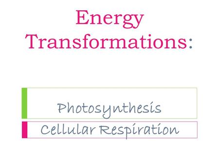 Energy Transformations: Photosynthesis Cellular Respiration.